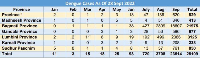 Dengue 11664474923.jpg